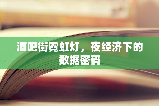 酒吧街霓虹灯，夜经济下的数据密码