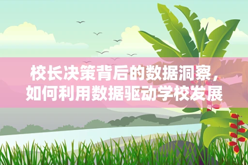 校长决策背后的数据洞察，如何利用数据驱动学校发展？