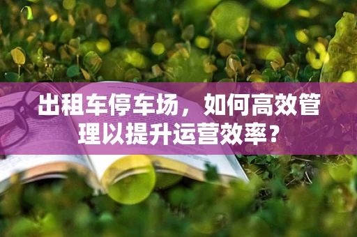 出租车停车场，如何高效管理以提升运营效率？