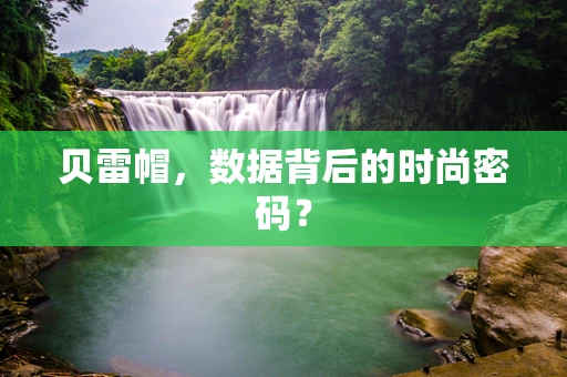 贝雷帽，数据背后的时尚密码？