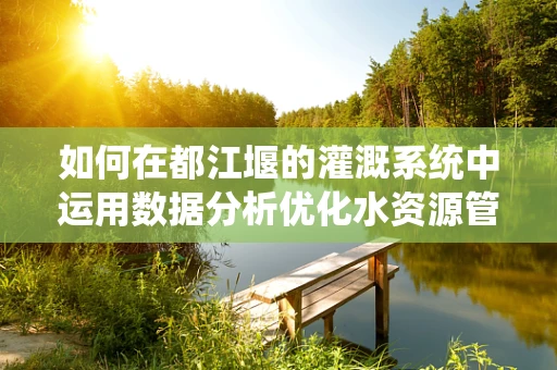 如何在都江堰的灌溉系统中运用数据分析优化水资源管理？