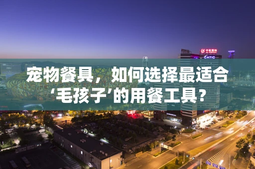 宠物餐具，如何选择最适合‘毛孩子’的用餐工具？