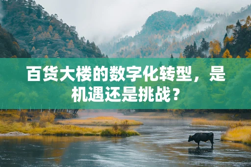 百货大楼的数字化转型，是机遇还是挑战？