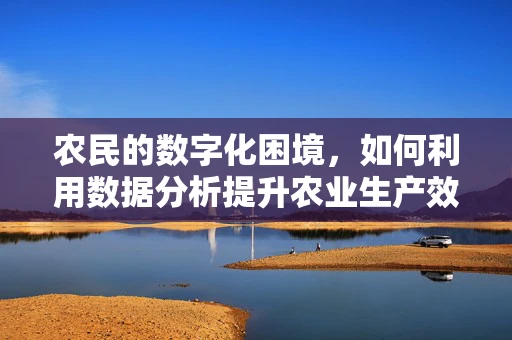 农民的数字化困境，如何利用数据分析提升农业生产效率？