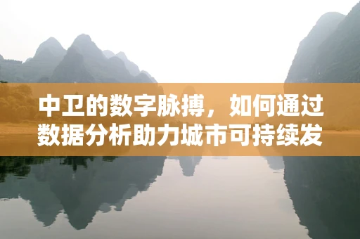 中卫的数字脉搏，如何通过数据分析助力城市可持续发展？