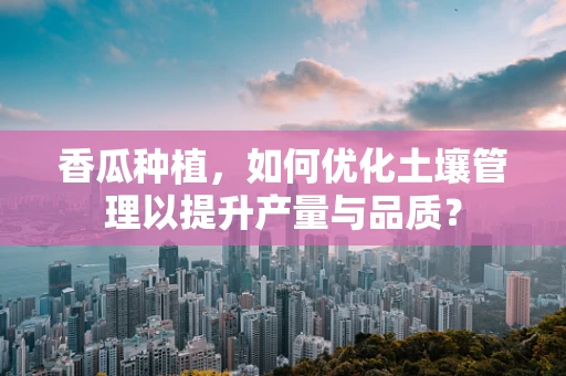 香瓜种植，如何优化土壤管理以提升产量与品质？