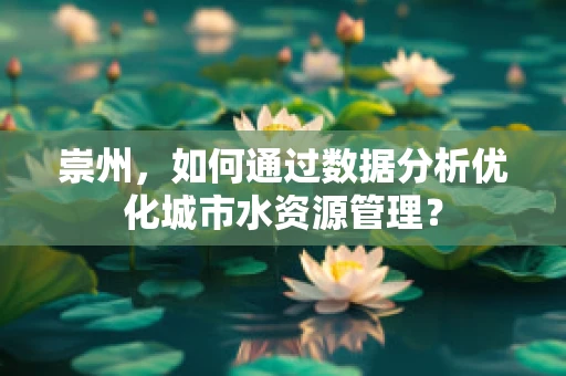 崇州，如何通过数据分析优化城市水资源管理？