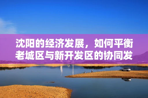 沈阳的经济发展，如何平衡老城区与新开发区的协同发展？