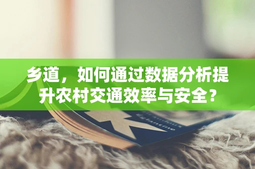 乡道，如何通过数据分析提升农村交通效率与安全？
