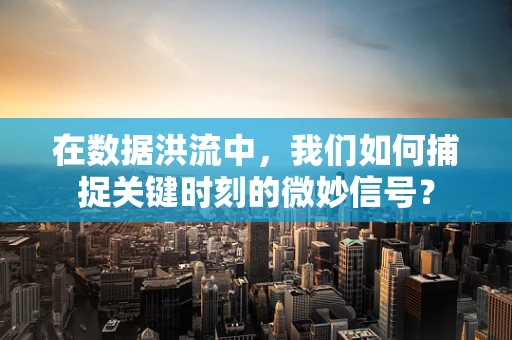 在数据洪流中，我们如何捕捉关键时刻的微妙信号？