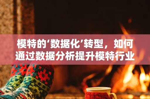 模特的‘数据化’转型，如何通过数据分析提升模特行业的精准匹配与效率？