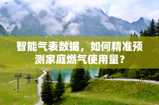 智能气表数据，如何精准预测家庭燃气使用量？