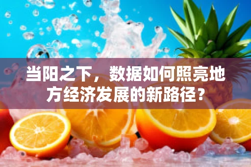 当阳之下，数据如何照亮地方经济发展的新路径？