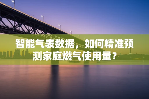 智能气表数据，如何精准预测家庭燃气使用量？