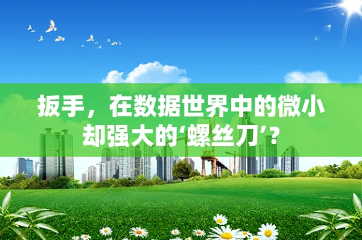 扳手，在数据世界中的微小却强大的‘螺丝刀’？