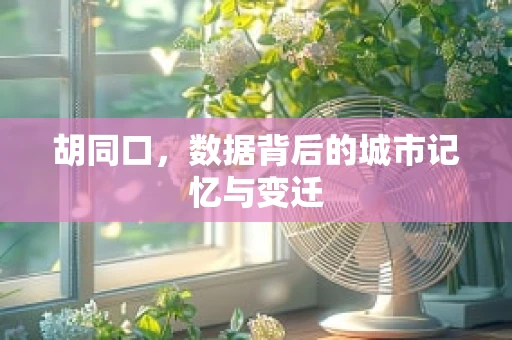 胡同口，数据背后的城市记忆与变迁