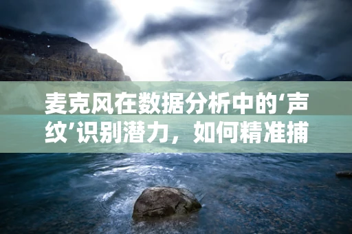 麦克风在数据分析中的‘声纹’识别潜力，如何精准捕捉数据‘声音’？