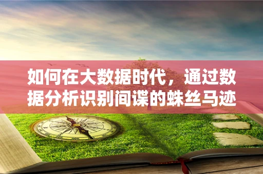 如何在大数据时代，通过数据分析识别间谍的蛛丝马迹？