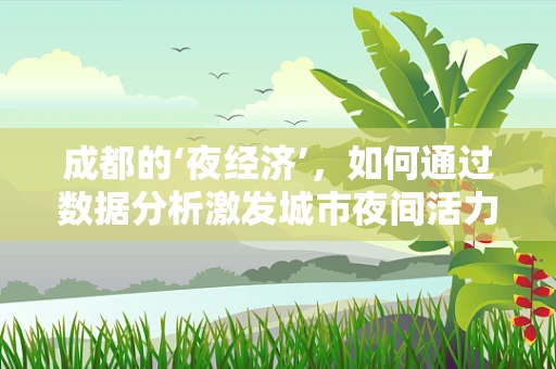 成都的‘夜经济’，如何通过数据分析激发城市夜间活力？