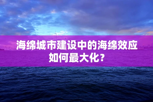 海绵城市建设中的海绵效应如何最大化？