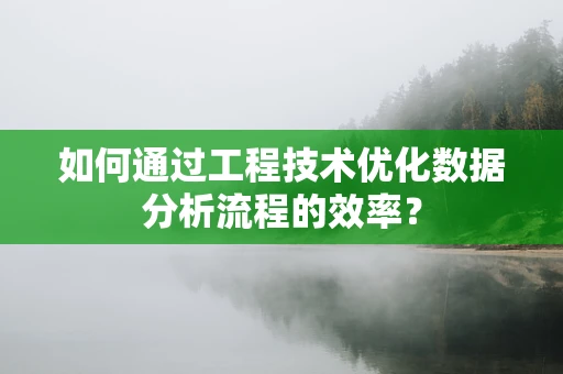如何通过工程技术优化数据分析流程的效率？