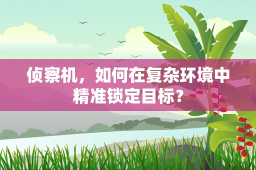 侦察机，如何在复杂环境中精准锁定目标？