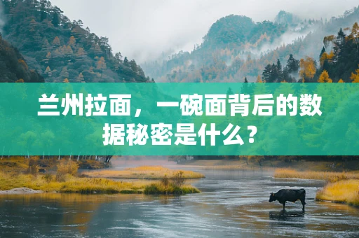 兰州拉面，一碗面背后的数据秘密是什么？