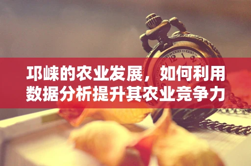 邛崃的农业发展，如何利用数据分析提升其农业竞争力？