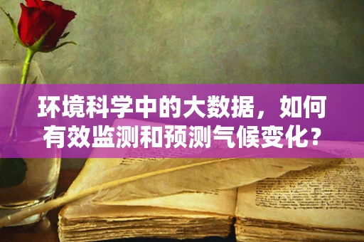 环境科学中的大数据，如何有效监测和预测气候变化？