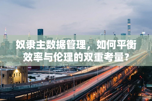 奴隶主数据管理，如何平衡效率与伦理的双重考量？