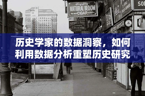 历史学家的数据洞察，如何利用数据分析重塑历史研究？