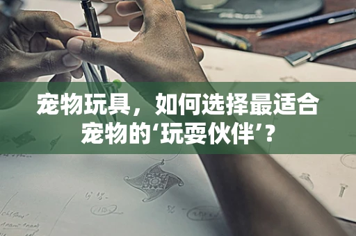 宠物玩具，如何选择最适合宠物的‘玩耍伙伴’？