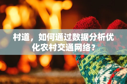 村道，如何通过数据分析优化农村交通网络？