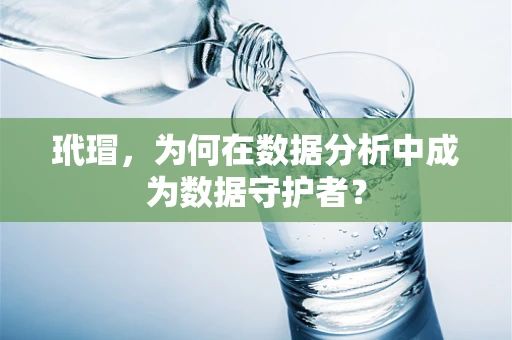 玳瑁，为何在数据分析中成为数据守护者？