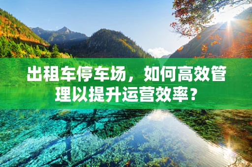 出租车停车场，如何高效管理以提升运营效率？