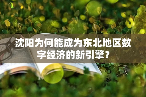 沈阳为何能成为东北地区数字经济的新引擎？