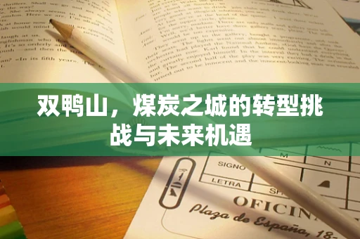 双鸭山，煤炭之城的转型挑战与未来机遇