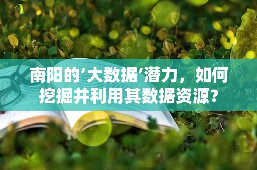 南阳的‘大数据’潜力，如何挖掘并利用其数据资源？