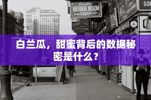 白兰瓜，甜蜜背后的数据秘密是什么？