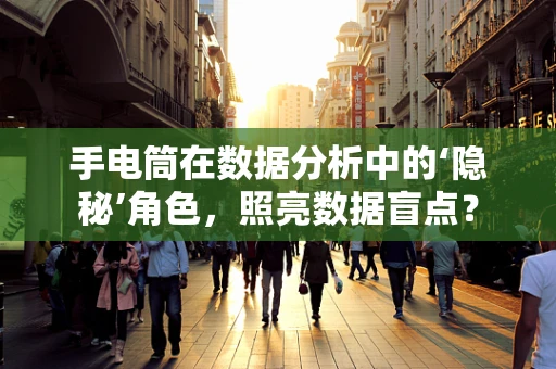 手电筒在数据分析中的‘隐秘’角色，照亮数据盲点？
