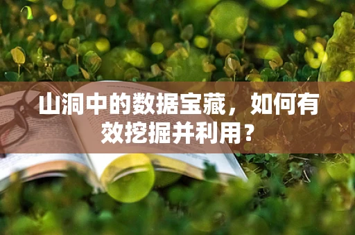 山洞中的数据宝藏，如何有效挖掘并利用？