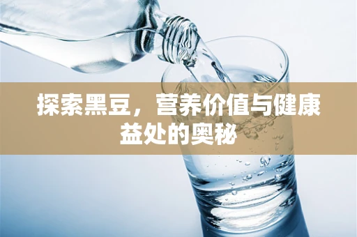 探索黑豆，营养价值与健康益处的奥秘