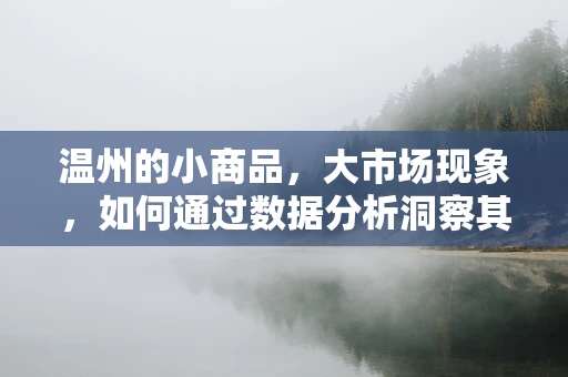 温州的小商品，大市场现象，如何通过数据分析洞察其背后的经济逻辑？