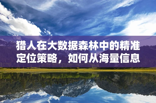 猎人在大数据森林中的精准定位策略，如何从海量信息中猎取真知？