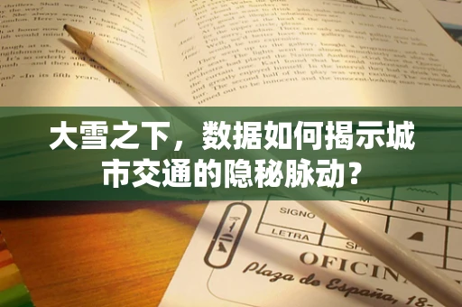 大雪之下，数据如何揭示城市交通的隐秘脉动？