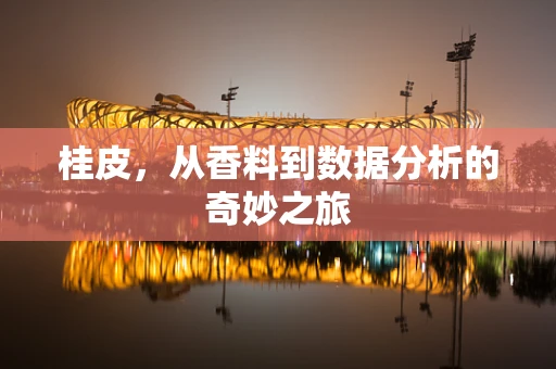 桂皮，从香料到数据分析的奇妙之旅
