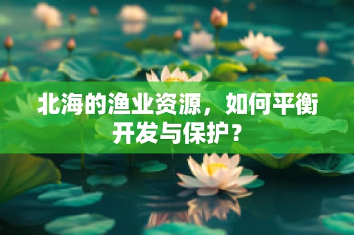 北海的渔业资源，如何平衡开发与保护？