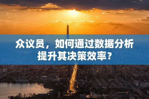 众议员，如何通过数据分析提升其决策效率？