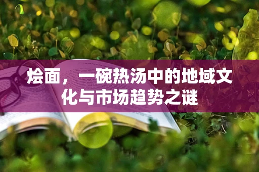 烩面，一碗热汤中的地域文化与市场趋势之谜