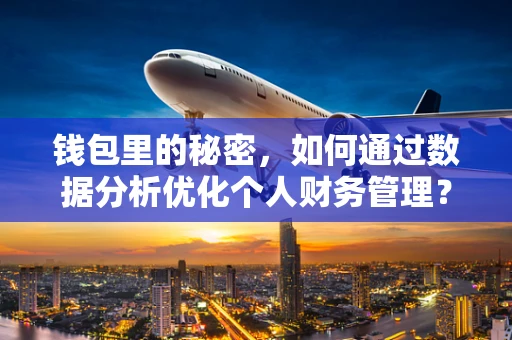 钱包里的秘密，如何通过数据分析优化个人财务管理？